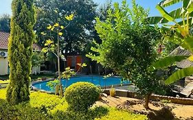 Birdville Bnb Guest House